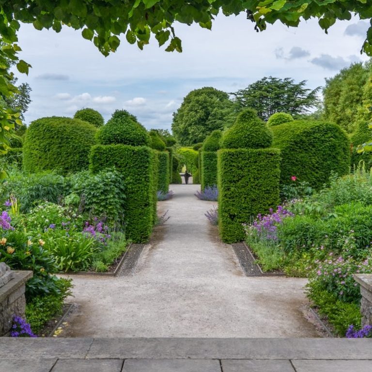 entreprise spécialisée en taille arbres et arbustes- technique de taille douce- taille ornementale - taille de fructification- rabattage des haies bocagere- arrachage thuyas paillage chanvre- paillage pouzzolane- binage- taille d'eclaircie- marcottage- élagage- taille douce- bechage de jardin paysagiste