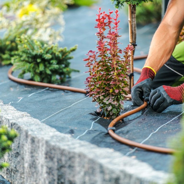 plantations aménagement Paysager Moulins allier