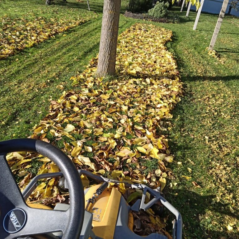 tonte- mulching débroussaillage moulins- yzeure avermes et département de l'allier. arbustes- haies bocagere- rabattage haie-désherbage tonte avec ramassage de l'herbe- jardinier paysagiste moulins assure l'entretien de qualité de votre residence
