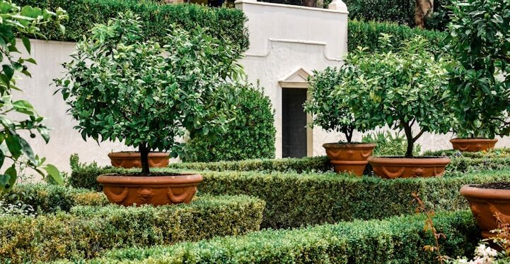 tonte et entretien espace verts sur moulins yzeure- petits travaux de jardinage jardinage moulins sur allier-Paysagiste moulins sur allier-tonte jardinage